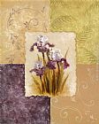 Vivian Flasch Wall Art - Amethyst Iris